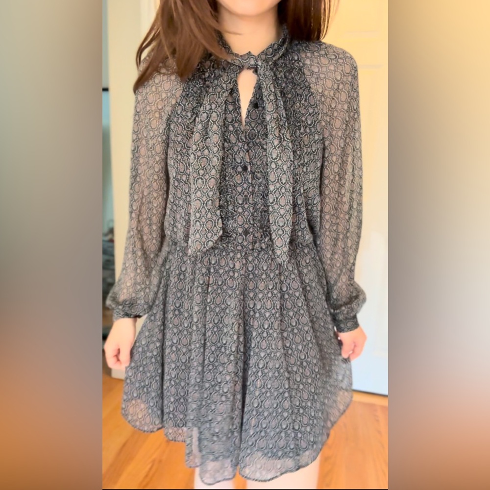 Zara Dress